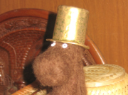 ����-����